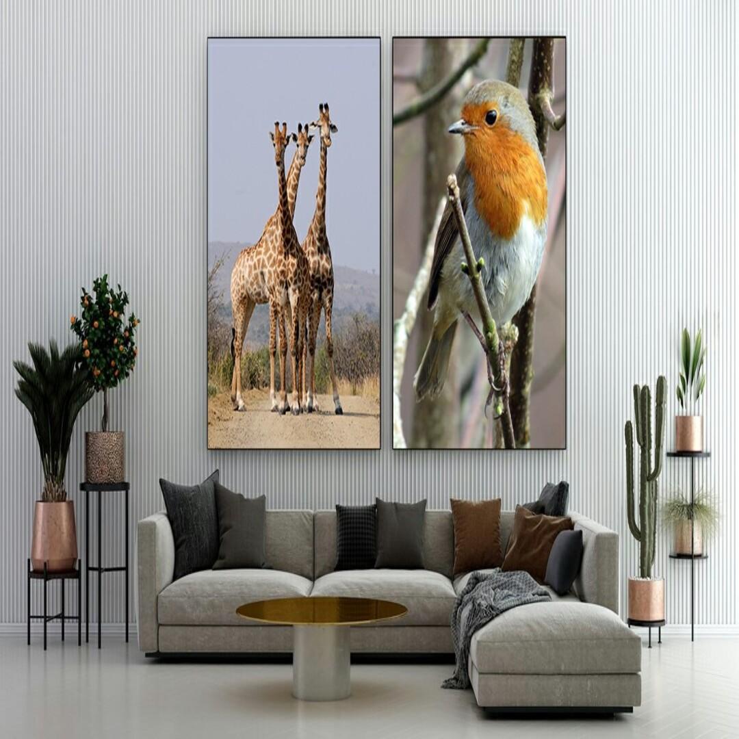 2 piece animal frame
