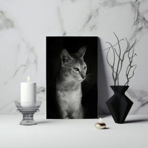 Cat1 canvas art frame