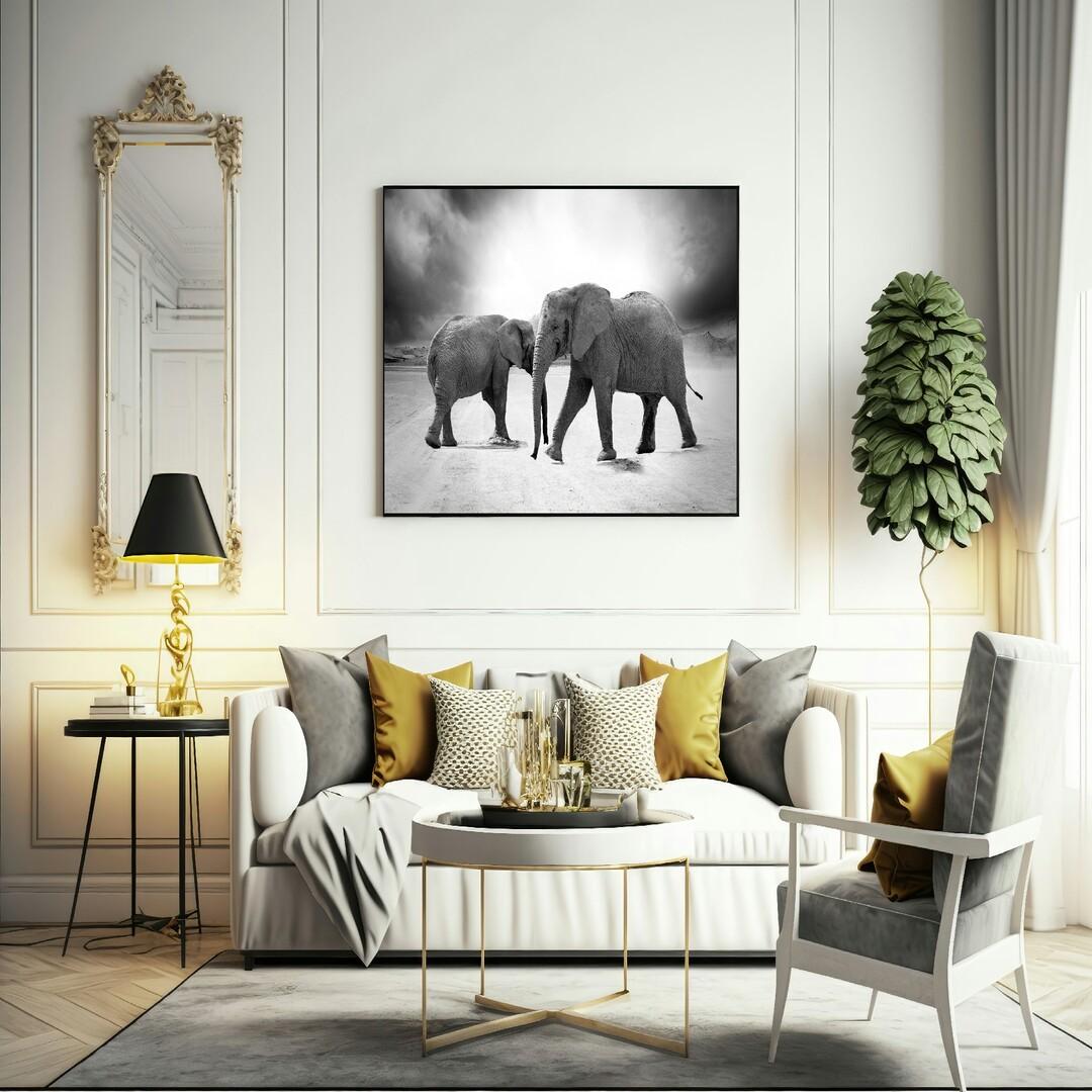 Elephant canvas art frame