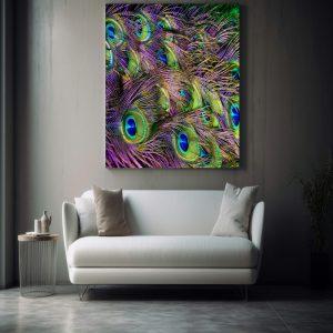 Feather canvas art frame