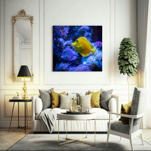Fish canvas art frame
