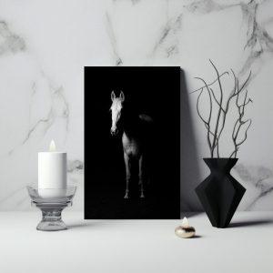 Horse2 canvas art frame