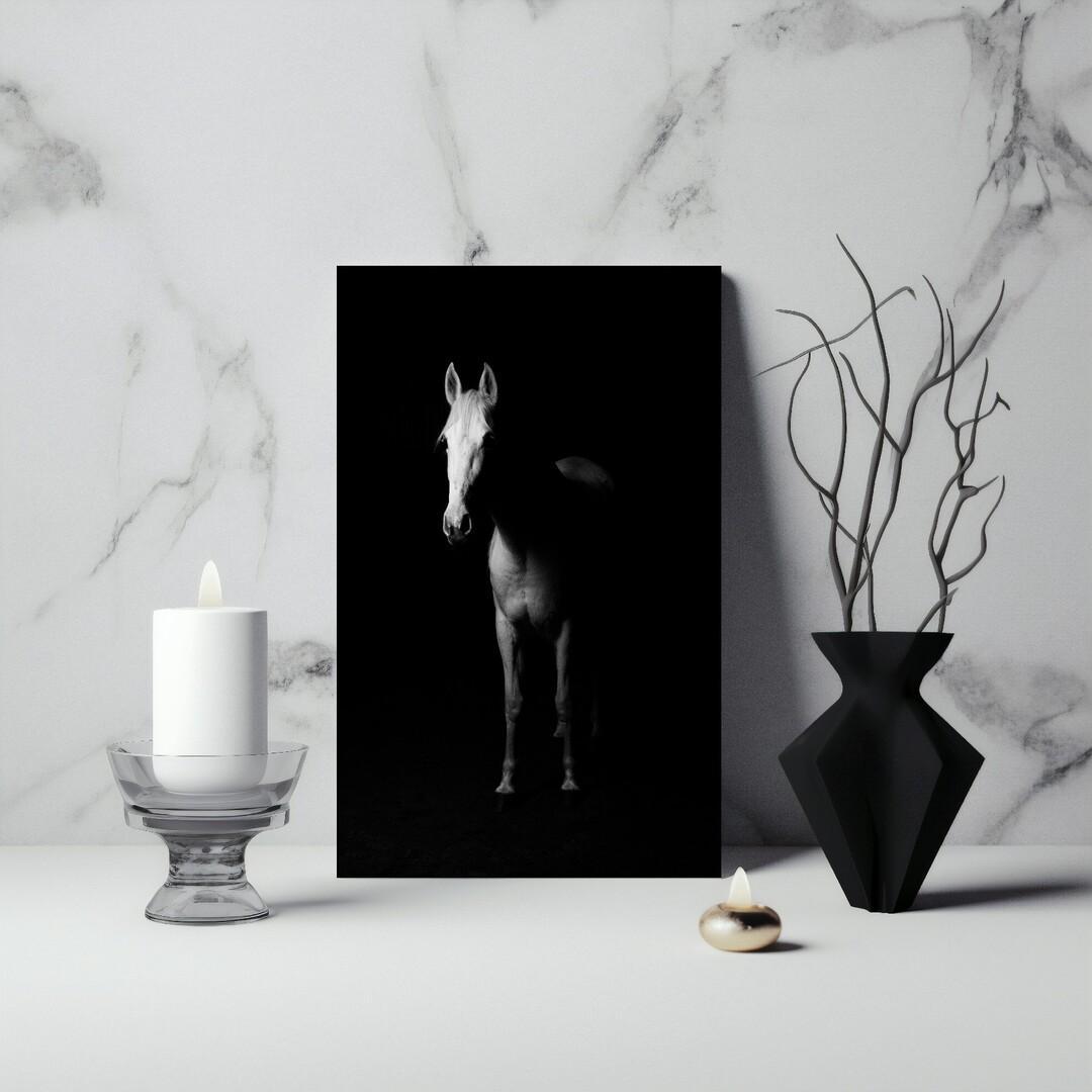 Horse2 canvas art frame