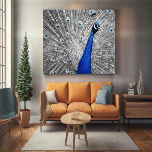 Peacock 2 canvas art frame