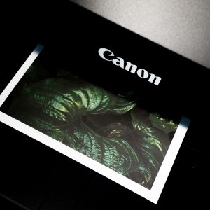 Digital Print | Scanning